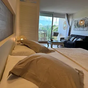 Reves De Tropiques - Grands Avec Piscine Vue Ocean Acces Direct Cul de Sac